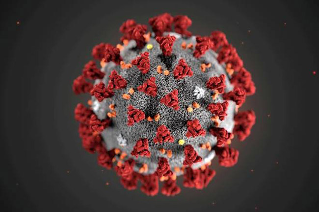 Do you Know How Small is Corona Virus?